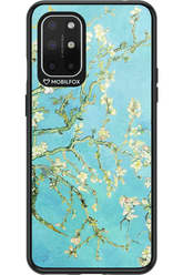 Almond Blossom - OnePlus 8T