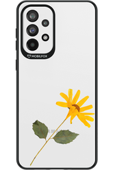 Pressed Flower - Samsung Galaxy A73