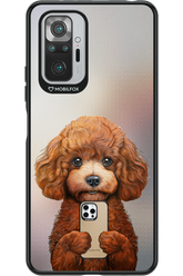 Dog x Fox - Xiaomi Redmi Note 10S