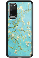 Almond Blossom - Samsung Galaxy S20