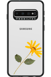 Pressed Flower - Samsung Galaxy S10