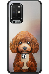 Dog x Fox - OnePlus 8T