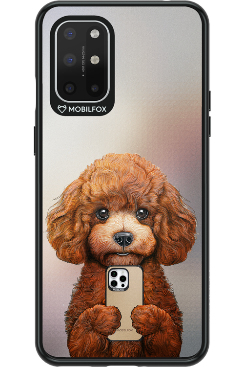Dog x Fox - OnePlus 8T
