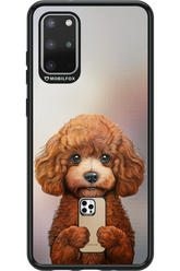 Dog x Fox - Samsung Galaxy S20+