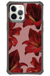 Amaryllis Mist - Apple iPhone 12 Pro Max