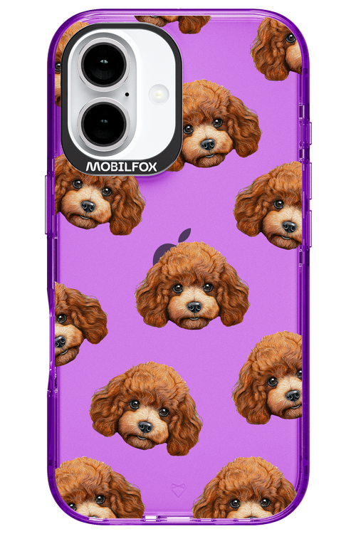 Puddle Amore 2.0 - Apple iPhone 16