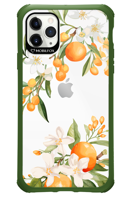 Amalfi Orange - Apple iPhone 11 Pro Max