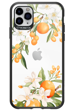 Amalfi Orange - Apple iPhone 11 Pro Max