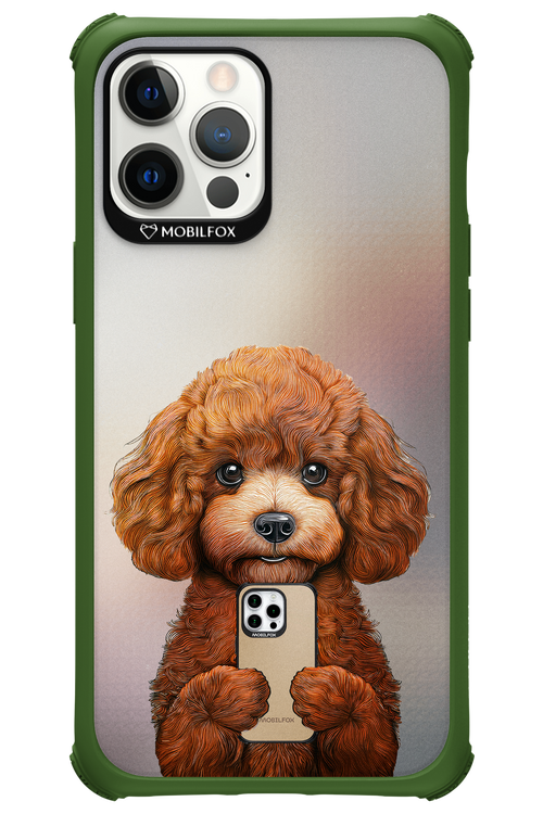 Dog x Fox - Apple iPhone 12 Pro Max