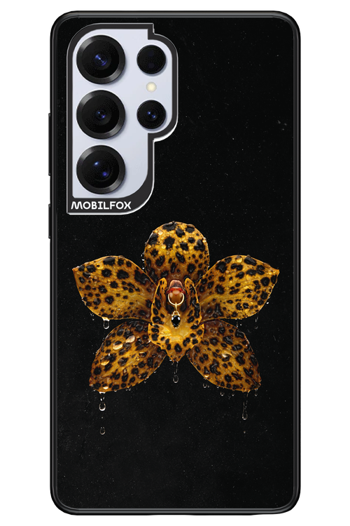 Wet & Wild 2.0 - Samsung S25 Ultra