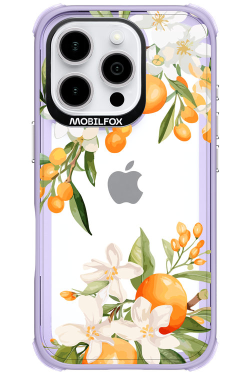 Amalfi Orange - Apple iPhone 16 Pro