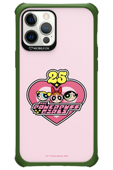 The Powerpuff Girls 25 - Apple iPhone 12 Pro Max