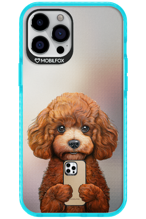 Dog x Fox 2.0 - Apple iPhone 12 Pro Max