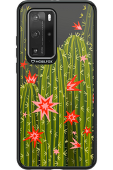 Cactus bloom 2.0 - Huawei P40 Pro