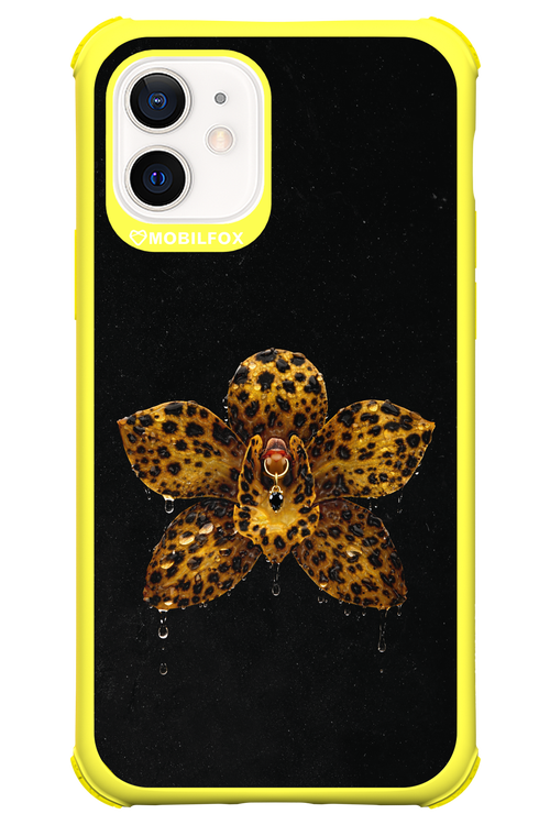 Wet & Wild 2.0 - Apple iPhone 12