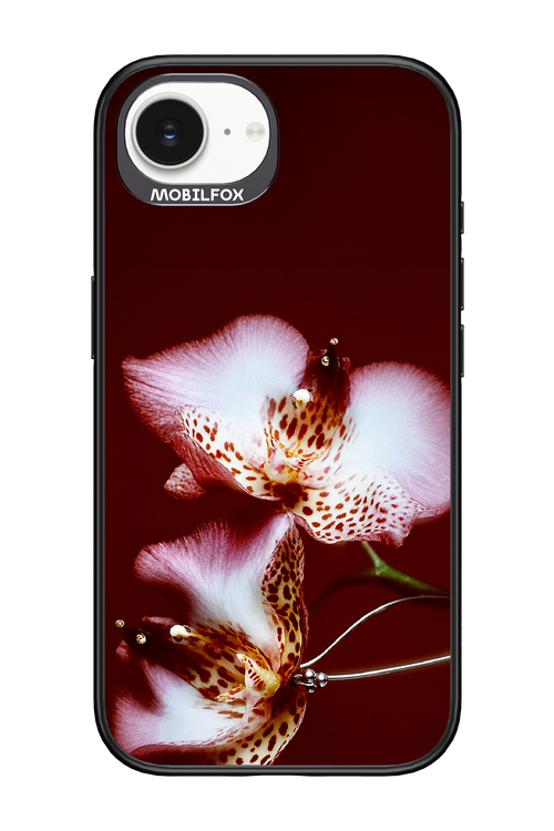 Leobloomy 2.0 - Apple iPhone 17e