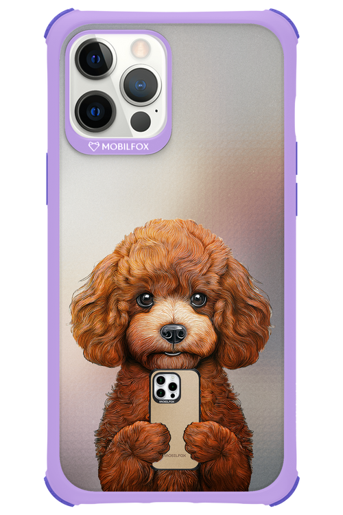 Dog x Fox 2.0 - Apple iPhone 12 Pro Max