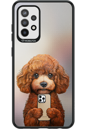 Dog x Fox - Samsung Galaxy A72