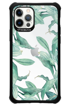 Greenpeace - Apple iPhone 12 Pro