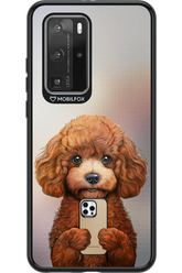 Dog x Fox - Huawei P40 Pro