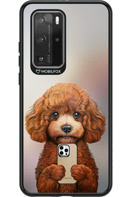Dog x Fox - Huawei P40 Pro