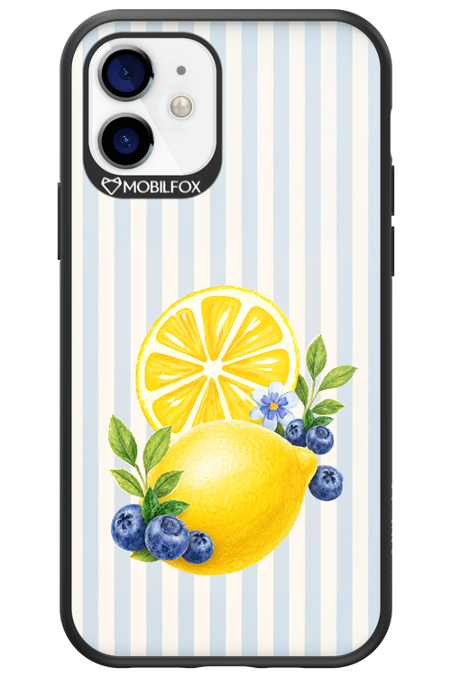Fresh Flash 2.0 - Apple iPhone 12
