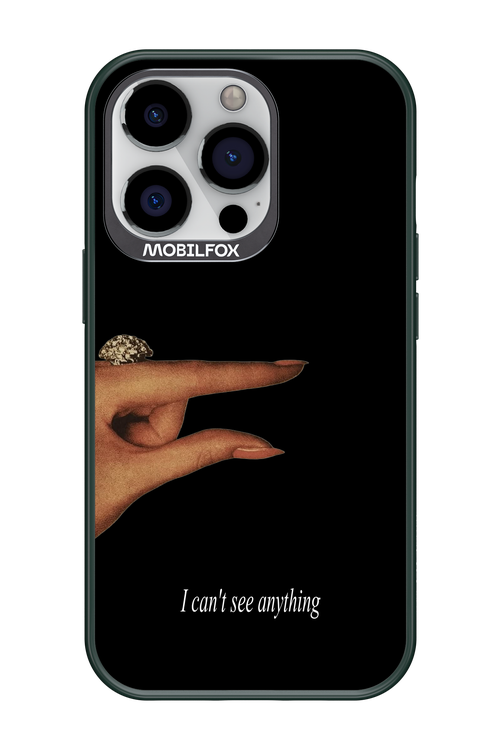 I can't see anything 2.0 - Apple iPhone 13 Pro
