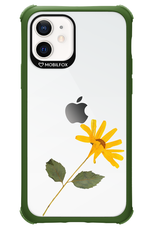 Pressed Flower - Apple iPhone 12