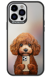 Dog x Fox - Apple iPhone 13 Pro Max