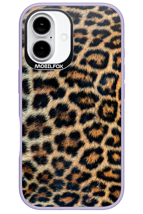 Leopard 2.0 - Apple iPhone 16