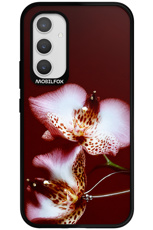 Leobloomy 2.0 - Samsung Galaxy A54