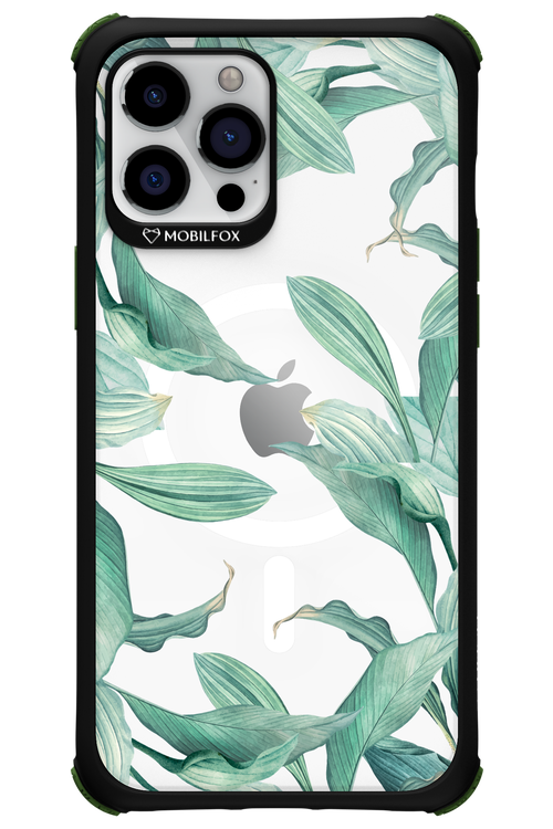 Greenpeace - Apple iPhone 12 Pro Max