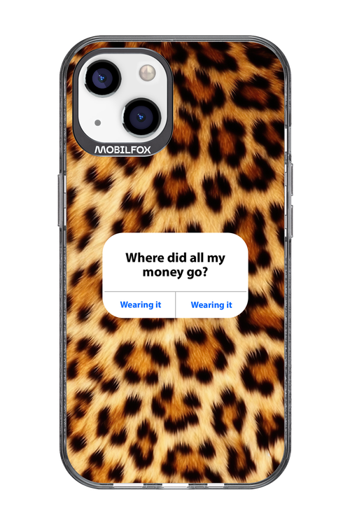 My Money 2.0 - Apple iPhone 13