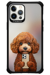 Dog x Fox 2.0 - Apple iPhone 12 Pro Max