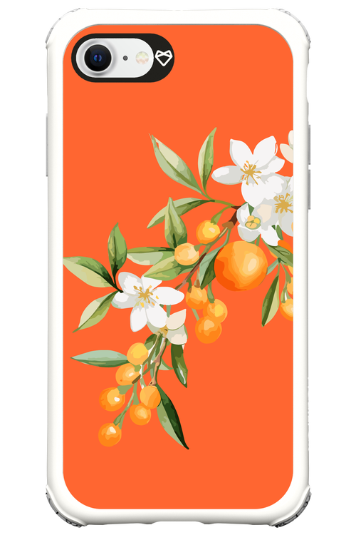 Amalfi Oranges - Apple iPhone SE 2020