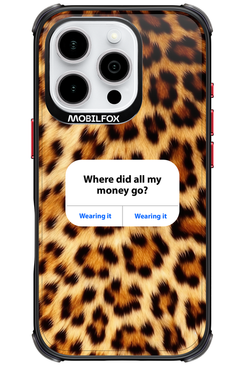 My Money 2.0 - Apple iPhone 16 Pro