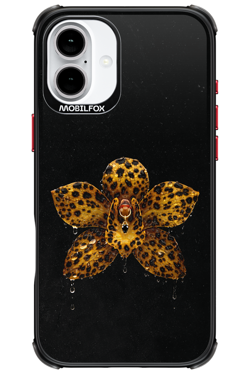 Wet & Wild 2.0 - Apple iPhone 16 Plus