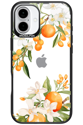 Amalfi Orange 2.0 - Apple iPhone 16 Plus