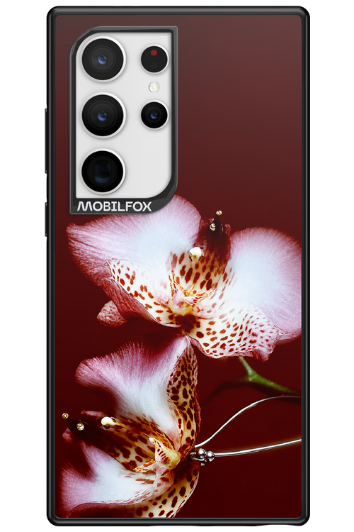 Leobloomy 2.0 - Samsung Galaxy S24 Ultra