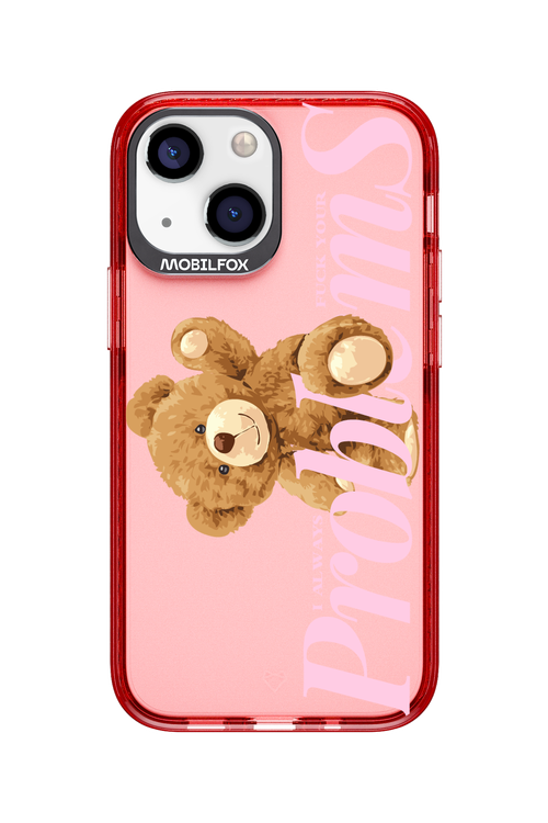Problems 2.0 - Apple iPhone 13 Mini