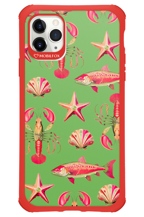 Sea Stars - Apple iPhone 11 Pro Max