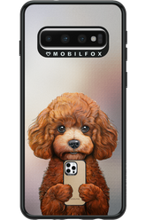 Dog x Fox - Samsung Galaxy S10