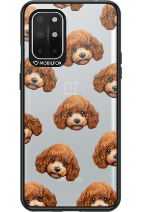 Puddle Amore - OnePlus 8T