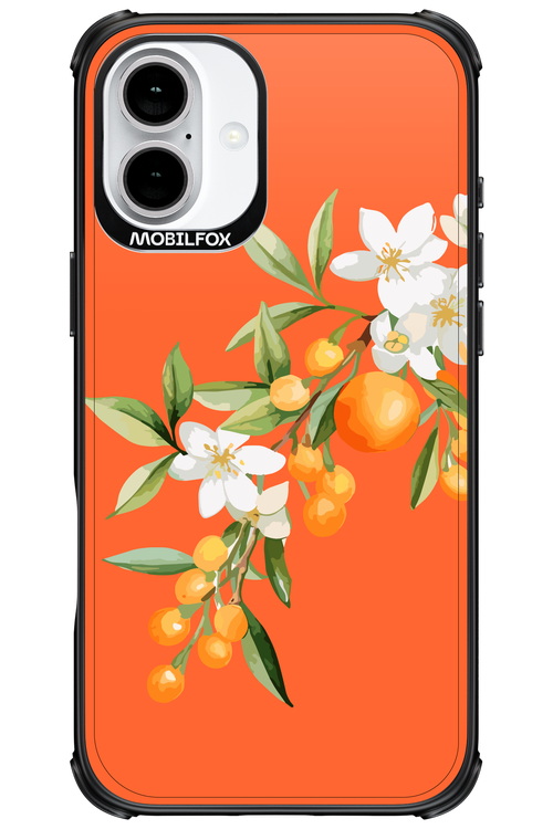 Amalfi Oranges - Apple iPhone 16 Plus