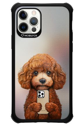 Dog x Fox - Apple iPhone 12 Pro