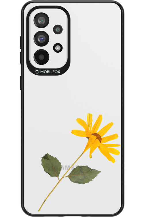 Pressed Flower - Samsung Galaxy A73