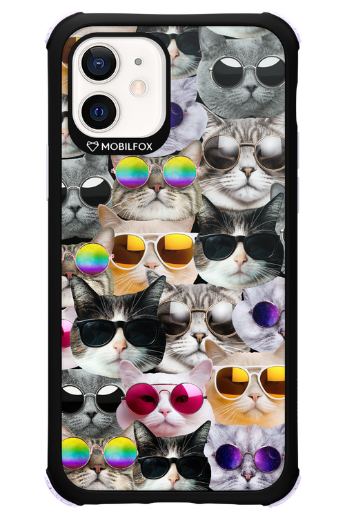 Cat World - Apple iPhone 12
