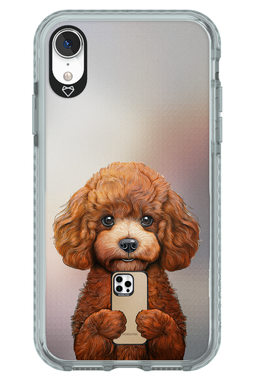 Dog x Fox 2.0 - Apple iPhone XR