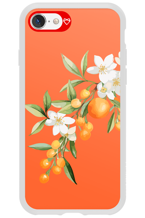 Amalfi Oranges - Apple iPhone SE 2022