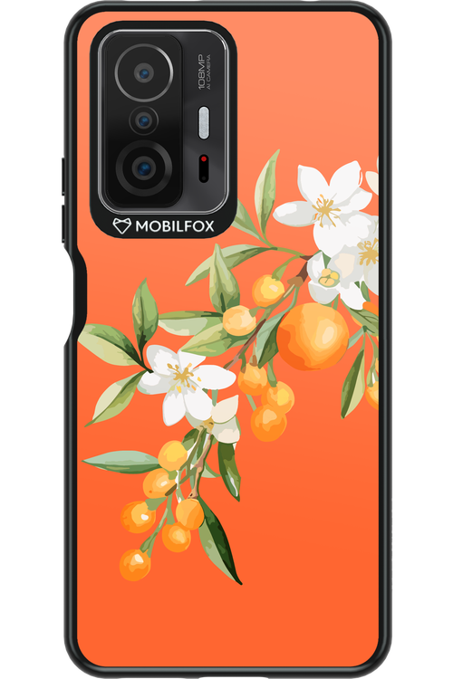 Amalfi Oranges - Xiaomi Mi 11T Pro